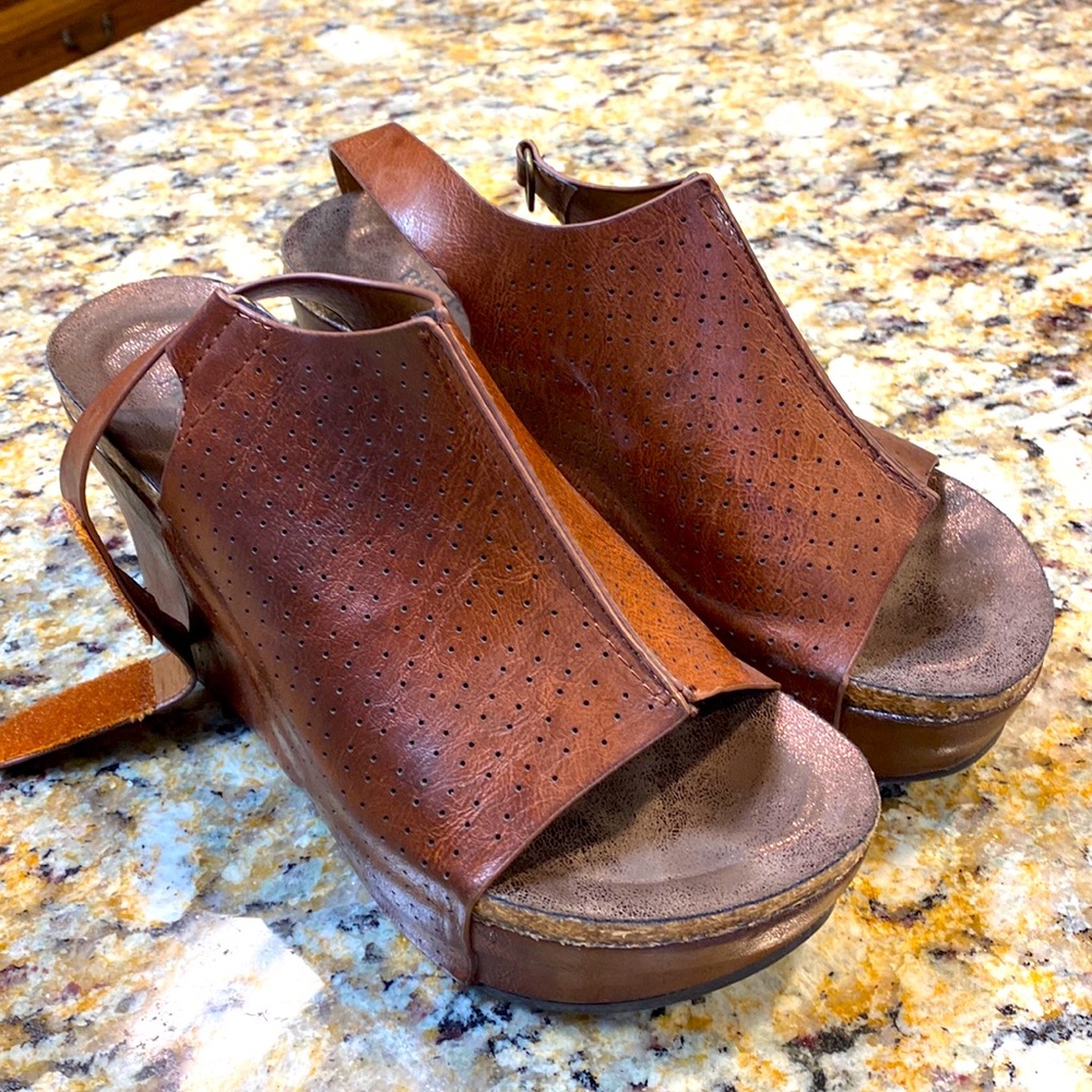Like New- Pierre Dumas Wedges